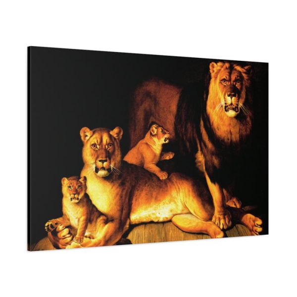 A Pride Of Lions by Jean Baptiste Huet Standard Canvas