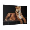 Hercules the Liger Standard Canvas