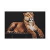Hercules the Liger Standard Canvas
