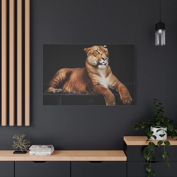 Hercules the Liger Standard Canvas