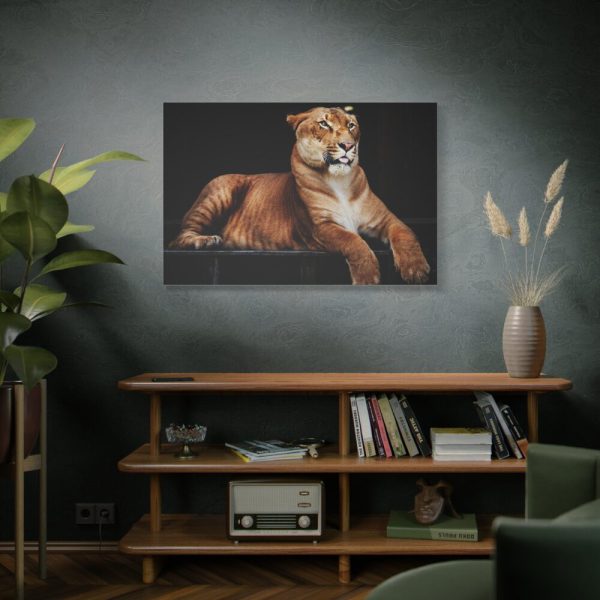 Hercules the Liger Standard Canvas