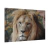 Lion Face Closeup Standard Canvas