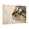 91638-700.jpg Cat with Large Blue Eye Standard Canvas