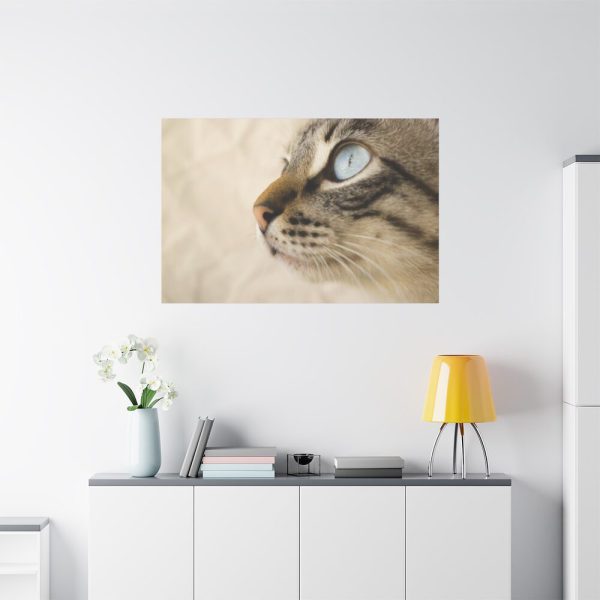 91638-702.jpg Cat with Large Blue Eye Standard Canvas