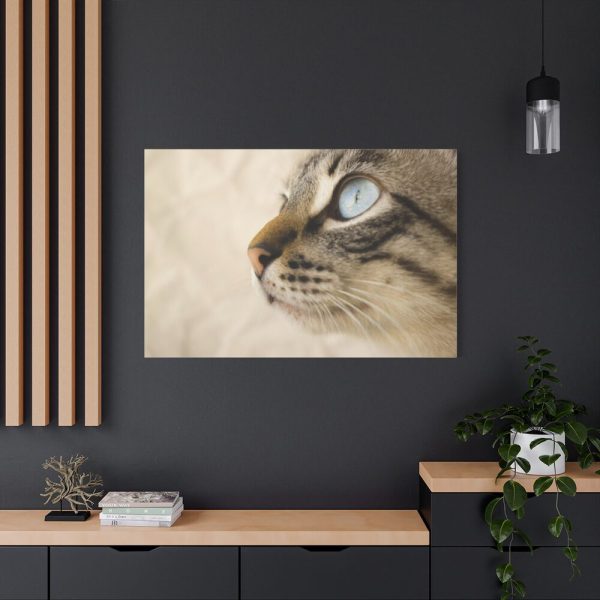 91638-703.jpg Cat with Large Blue Eye Standard Canvas