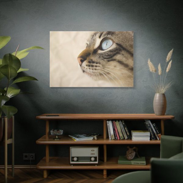 91638-704.jpg Cat with Large Blue Eye Standard Canvas