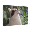 91638-705.jpg Cat and Lavender Standard Canvas