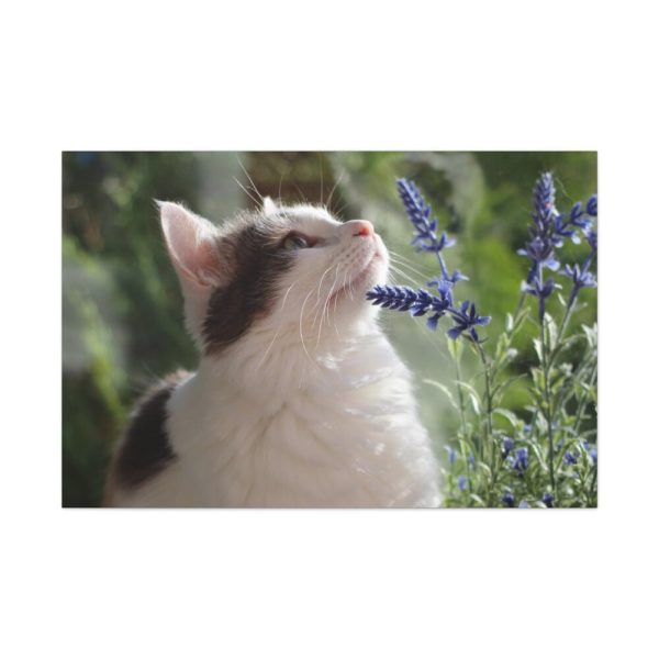 91638-706.jpg Cat and Lavender Standard Canvas