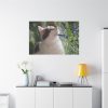 91638-707.jpg Cat and Lavender Standard Canvas
