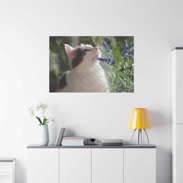 91638-707.jpg Cat and Lavender Standard Canvas