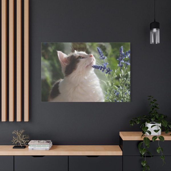 91638-708.jpg Cat and Lavender Standard Canvas
