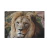 Lion Face Closeup Standard Canvas