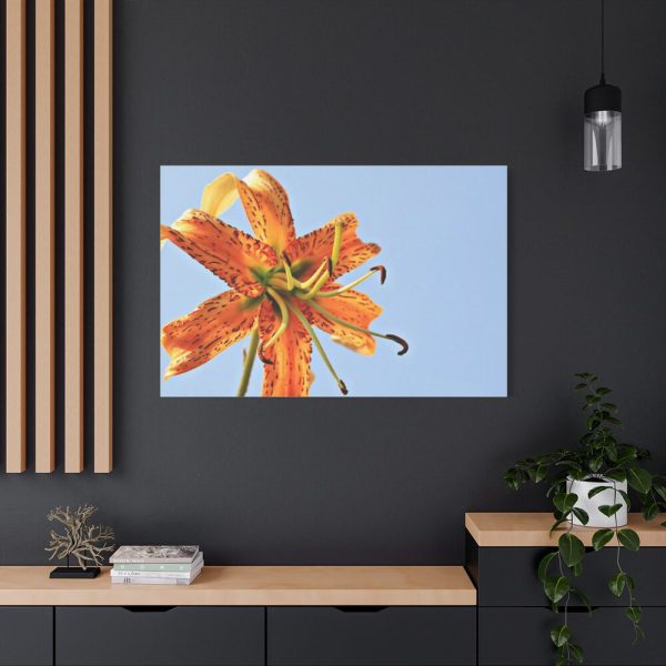 Lily Flower Standard Canvas