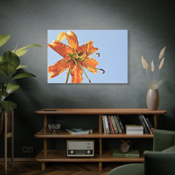 Lily Flower Standard Canvas