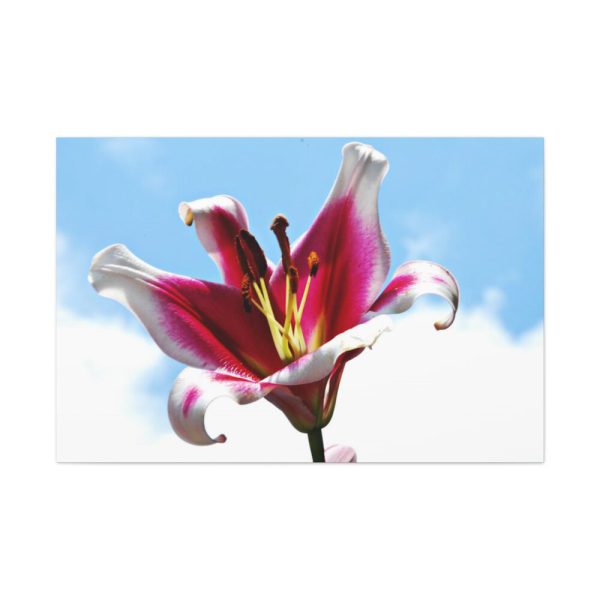 91638-716.jpg Garden Lily Standard Canvas