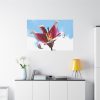 91638-717.jpg Garden Lily Standard Canvas
