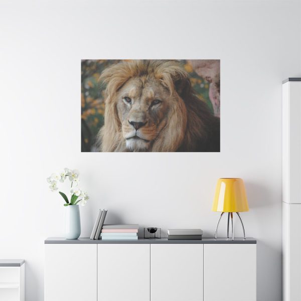 Lion Face Closeup Standard Canvas