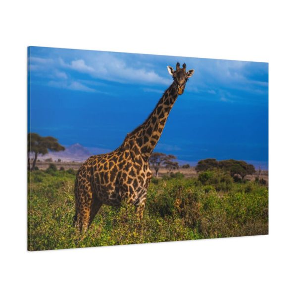 91638-725.jpg Giraffe in the Wild Standard Canvas