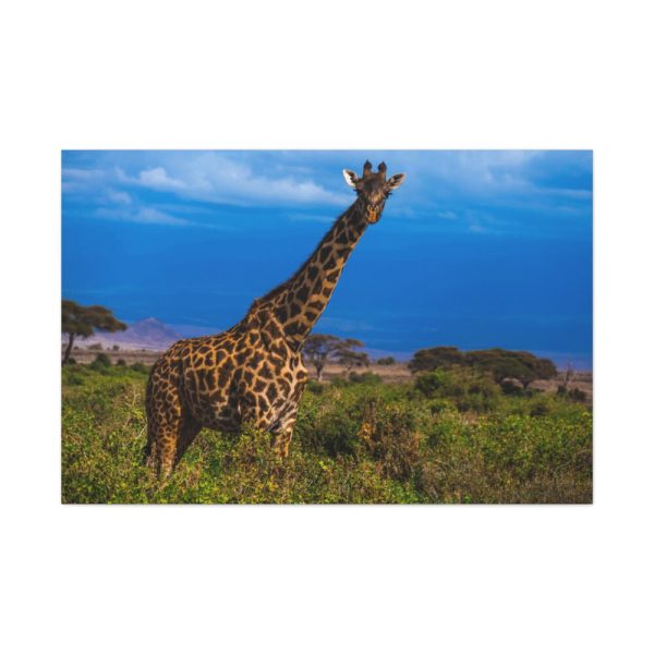 91638-726.jpg Giraffe in the Wild Standard Canvas