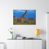 91638-727.jpg Giraffe in the Wild Standard Canvas