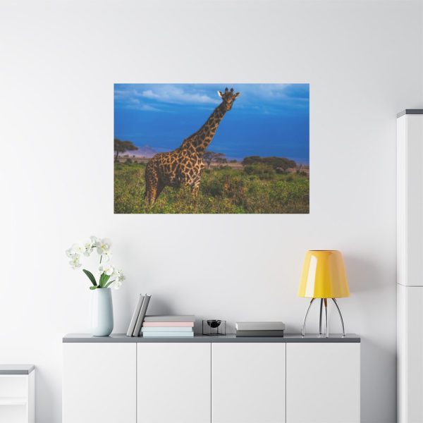 91638-727.jpg Giraffe in the Wild Standard Canvas