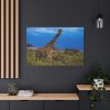 91638-728.jpg Giraffe in the Wild Standard Canvas