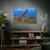 91638-729.jpg Giraffe in the Wild Standard Canvas