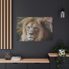 Lion Face Closeup Standard Canvas
