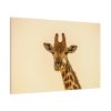 91638-730.jpg A Close up Geoffrey The Giraffe Standard Canvas