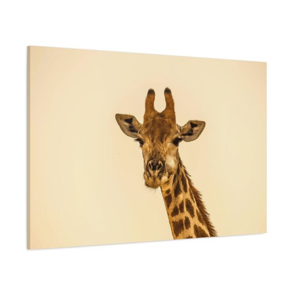 91638-730.jpg A Close up Geoffrey The Giraffe Standard Canvas