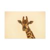 91638-731.jpg A Close up Geoffrey The Giraffe Standard Canvas