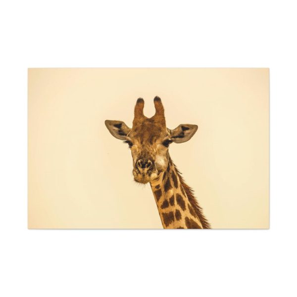 91638-731.jpg A Close up Geoffrey The Giraffe Standard Canvas