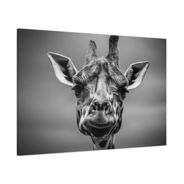 91638-735.jpg Giraffe in Monotone Standard Canvas