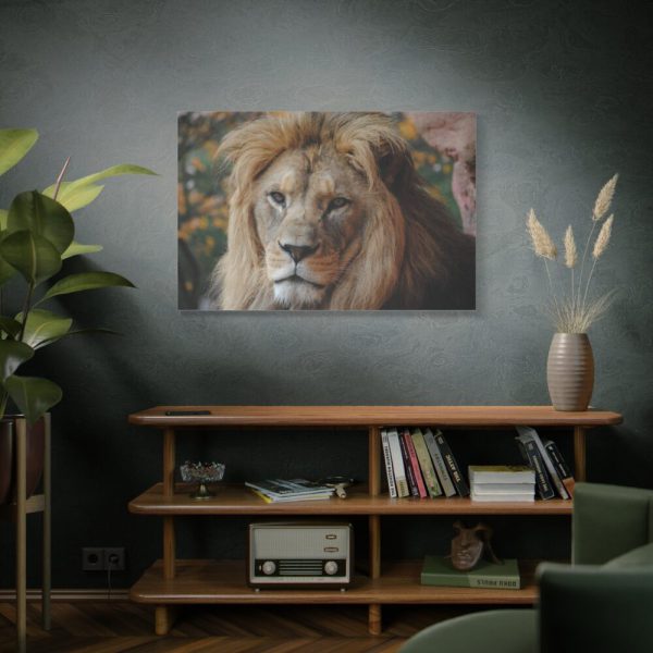 Lion Face Closeup Standard Canvas