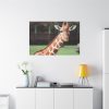 91638-742.jpg Giraffe at The Montgomery Zoo in Oak Park Standard Canvas