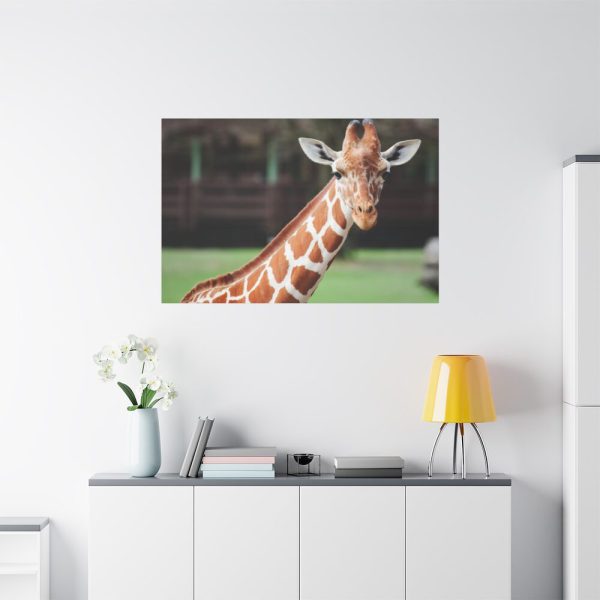 91638-742.jpg Giraffe at The Montgomery Zoo in Oak Park Standard Canvas