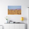 91638-747.jpg Three Giraffe in the Nature Standard Canvas