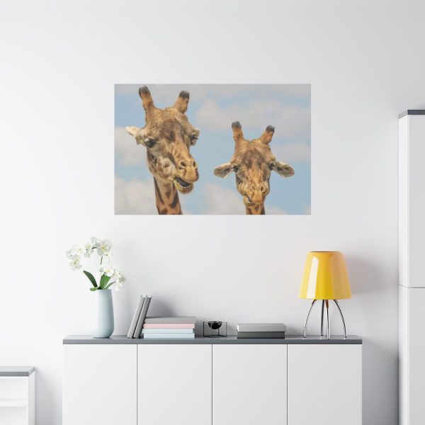 91638-752.jpg Two Giraffe Face Close-up Standard Canvas