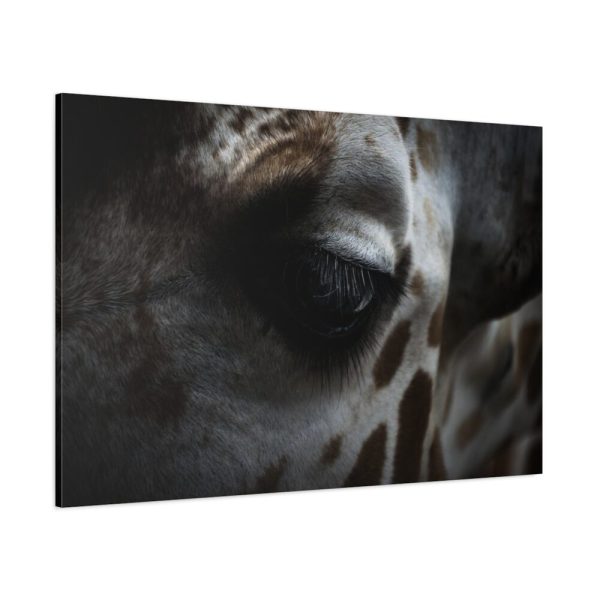 91638-755.jpg Giraffe Black Eye Standard Canvas