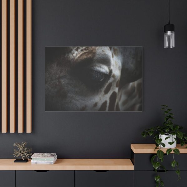 91638-758.jpg Giraffe Black Eye Standard Canvas