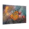 91638-760.jpg Butterfly Admiral Insect Standard Canvas