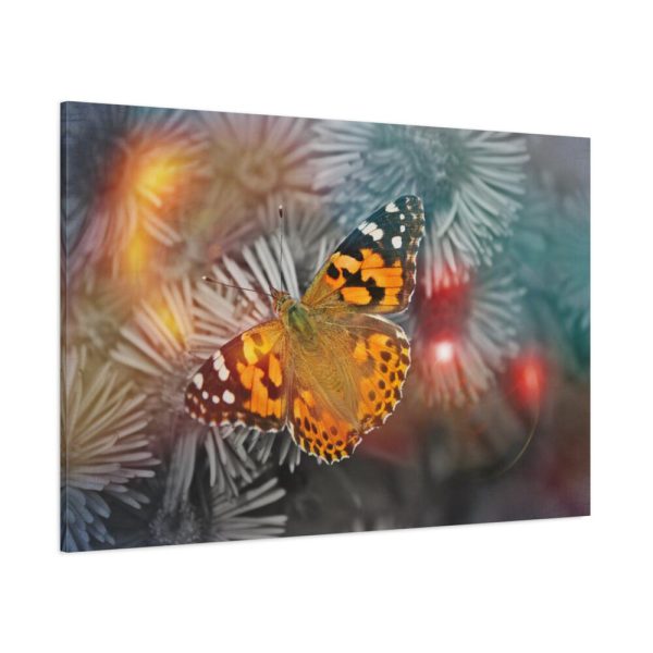 91638-760.jpg Butterfly Admiral Insect Standard Canvas