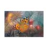91638-761.jpg Butterfly Admiral Insect Standard Canvas