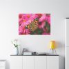 91638-767.jpg Butterfly on Pink Flower Standard Canvas