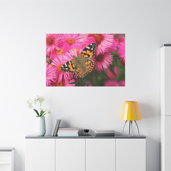91638-767.jpg Butterfly on Pink Flower Standard Canvas