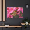 91638-768.jpg Butterfly on Pink Flower Standard Canvas