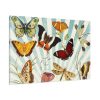 91638-780.jpg Butterfly Vintage Collage Sky Standard Canvas