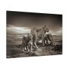 Lioness with Cubs Standard Canvas