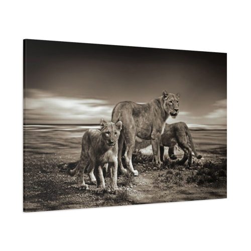 91638-785.jpg Lioness with Cubs Standard Canvas