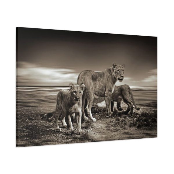 Lioness with Cubs Standard Canvas